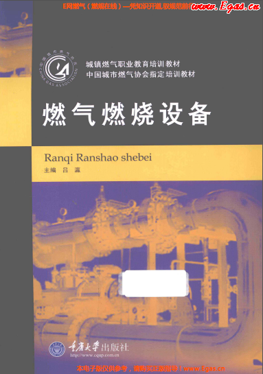 燃?xì)馊紵O(shè)備.png