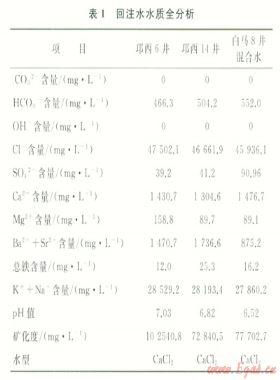 氣田回注系統(tǒng)結(jié)垢機(jī)理及對策