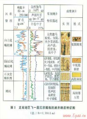 龍崗地區(qū)飛仙關組鮞粒灘微相的地震—地質綜合預測