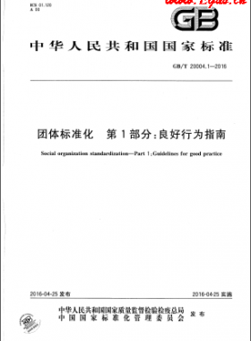 團(tuán)體標(biāo)準(zhǔn)化 第1部分：良好行為指南國標(biāo)/T 20004.1-2016