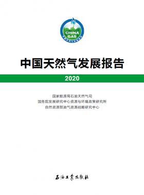 2020中國天然氣發(fā)展報(bào)告（含2017、2018、2019、2020）