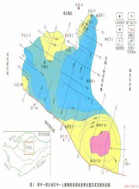 塔里木盆地阿—滿過(guò)渡帶中—上奧陶統(tǒng)海相烴源巖的識(shí)別及其意義