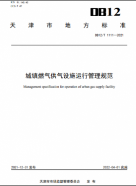 城鎮(zhèn)燃氣供氣設施運行管理規(guī)范DB12/T 1111—2021